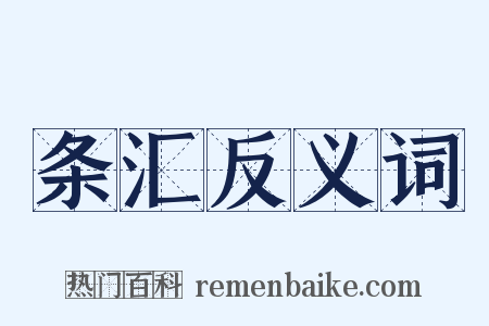 条汇反义词是什么意思的图片